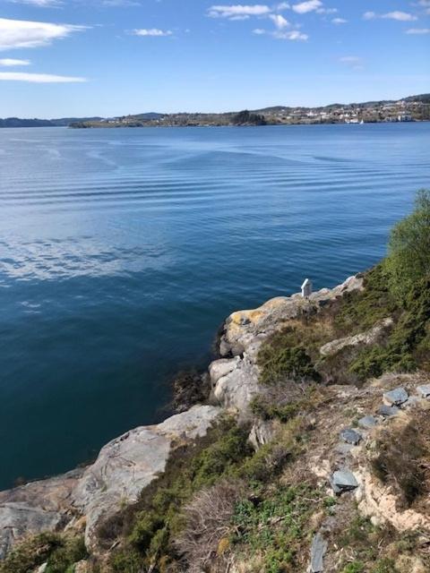 Koselig Nyoppusset 3 Roms Leilighet Med Egen Parkeringsplass I Rolige Omgivelse Naer Sjoen, 2 Mil Nord For Bergen Sentrum. Kültér fotó